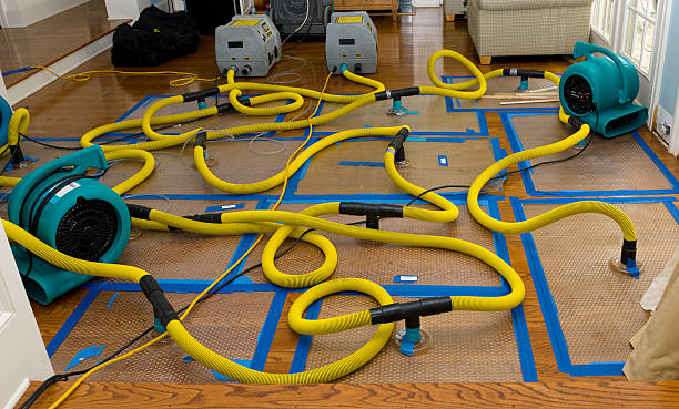 Professional Basement Flood Cleanup technician working in Virgin, UT